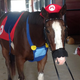 Illustration for article titled Sad Horse Is Dressed As Mario